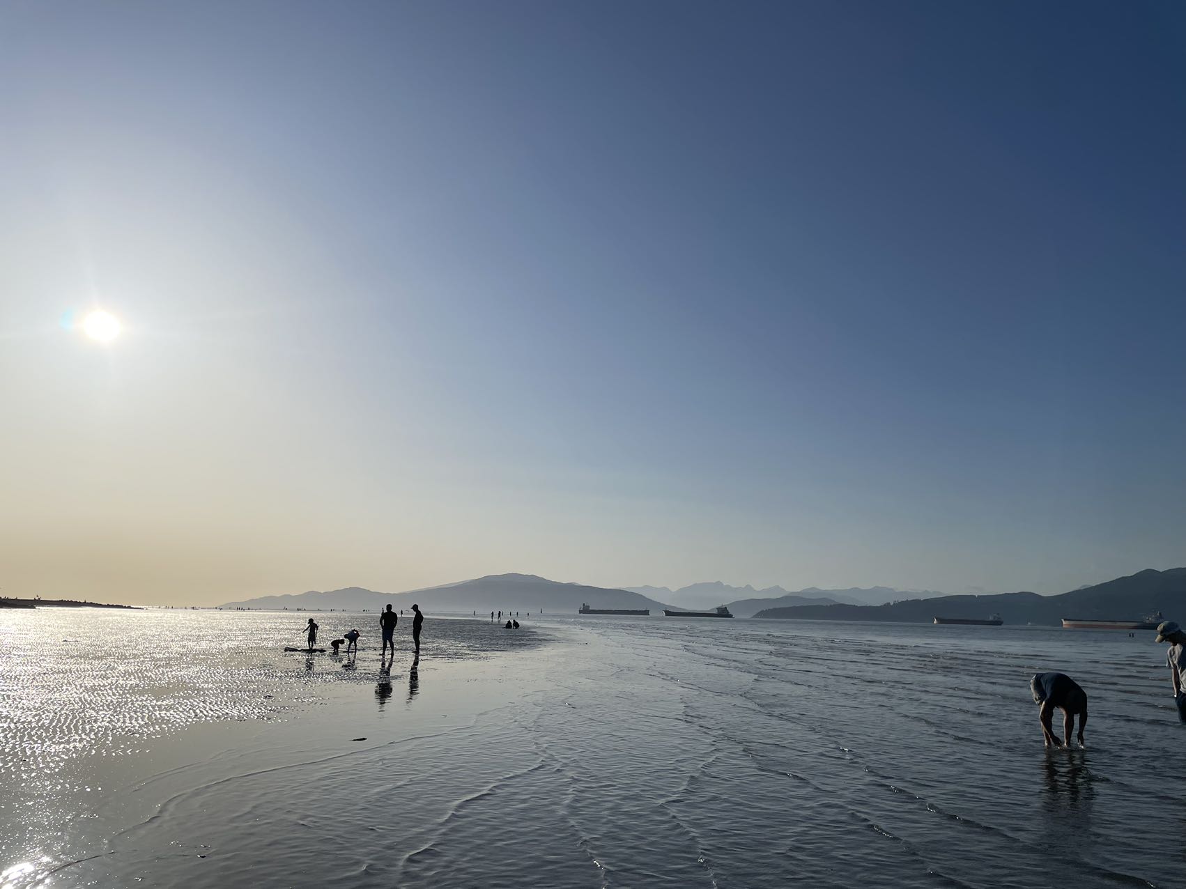 阿省省提名综述