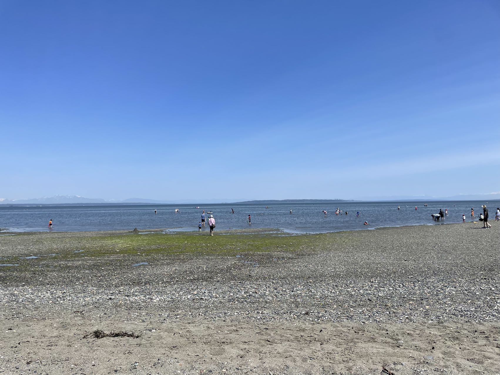 新斯科舍NS省省提名综述