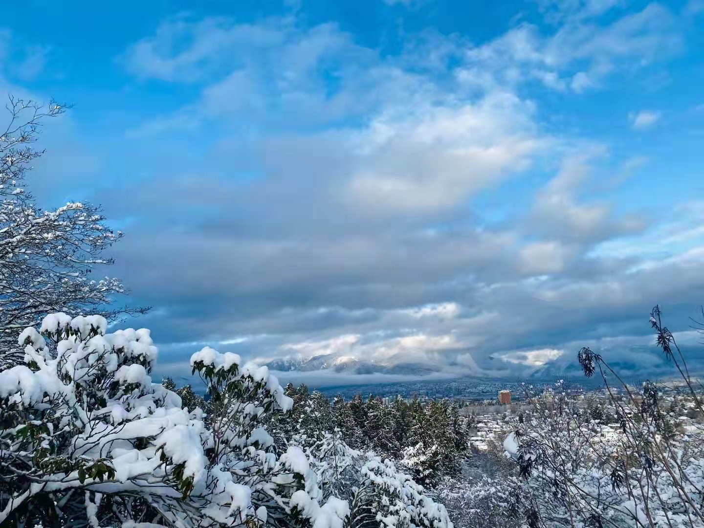 曼省省提名综述