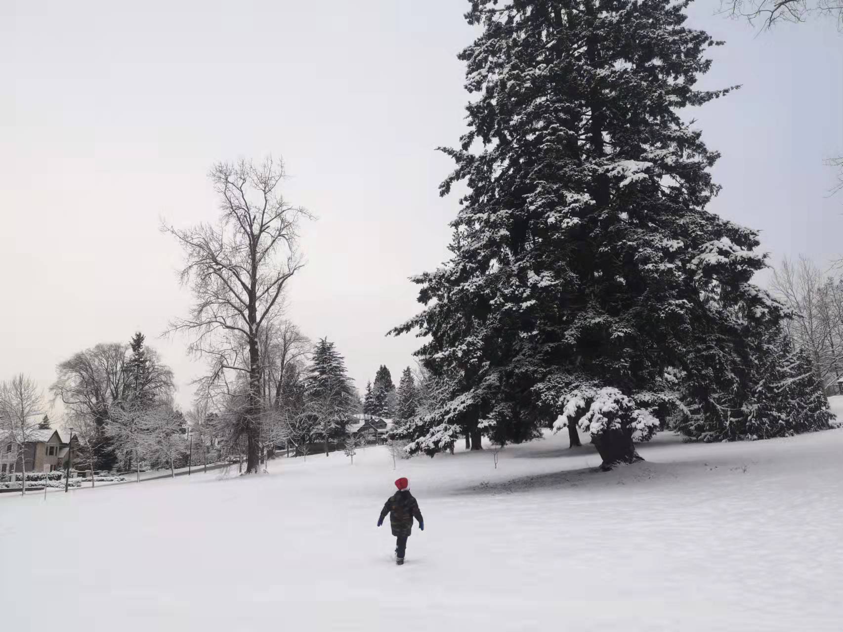 萨省省提名综述