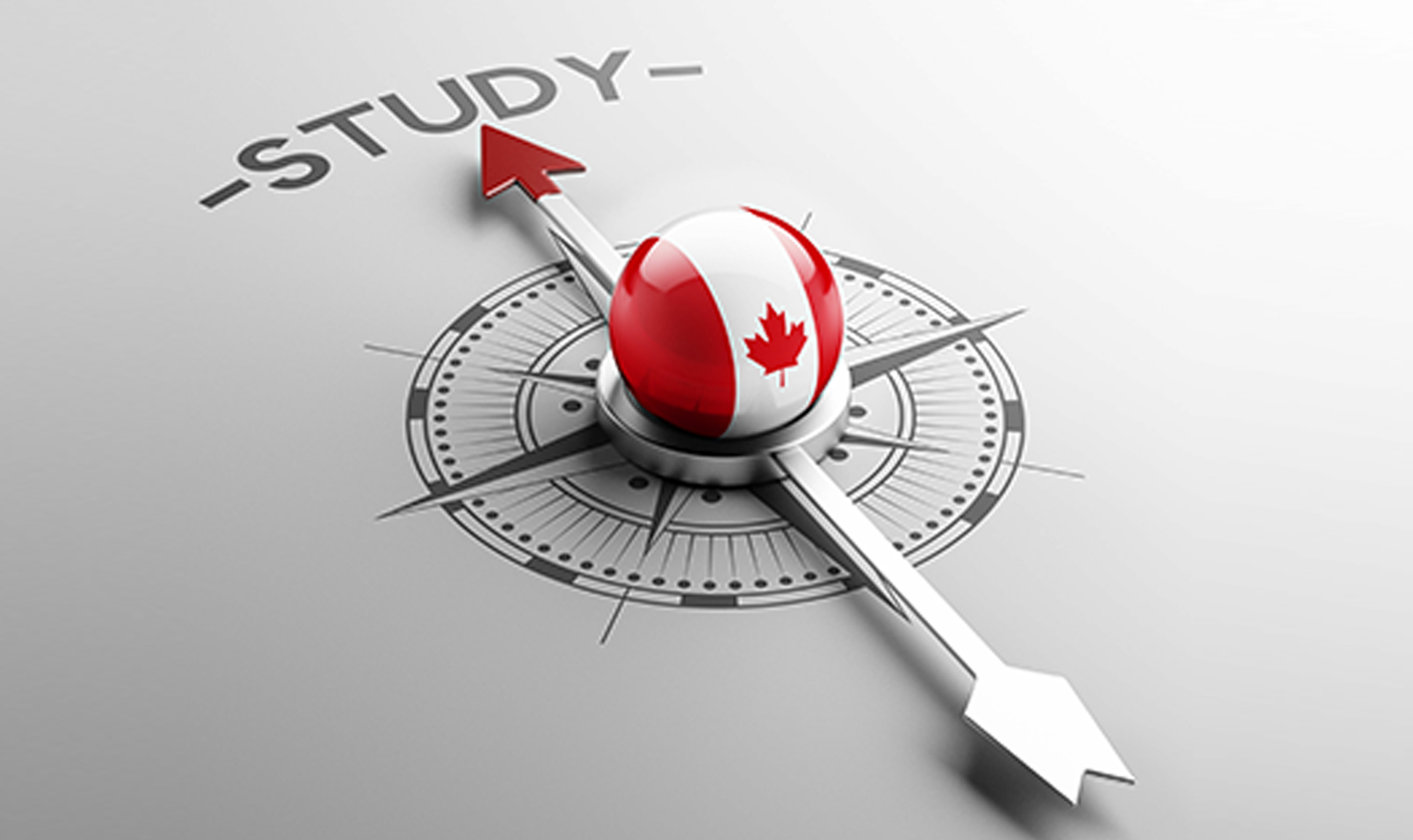 2020年加拿大学签成功案例